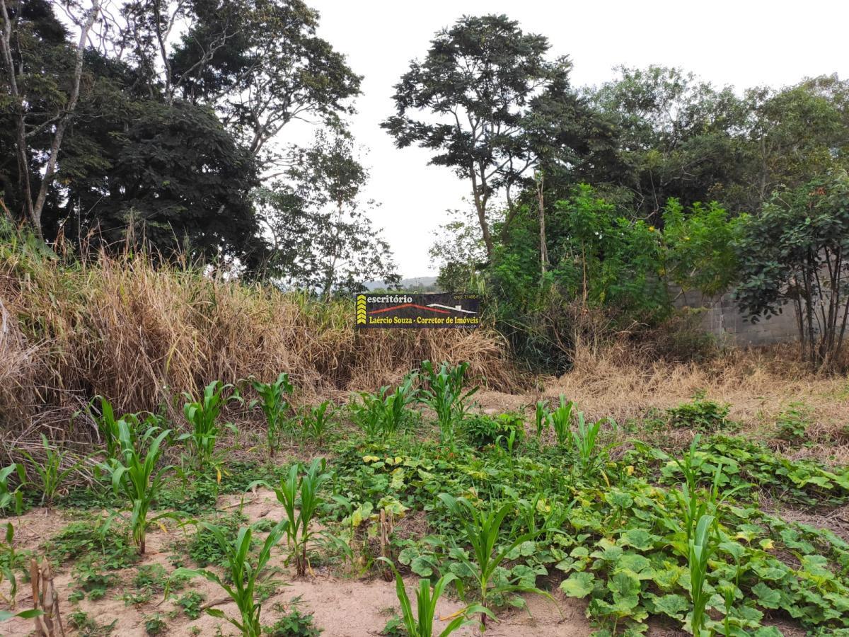 Terreno, 2394 m² - Foto 17