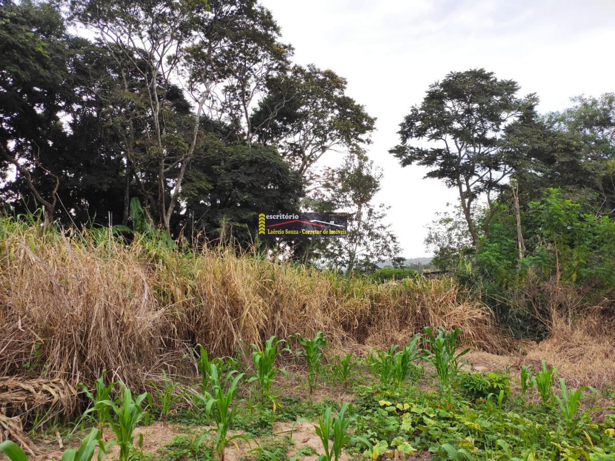 Terreno, 2394 m² - Foto 18