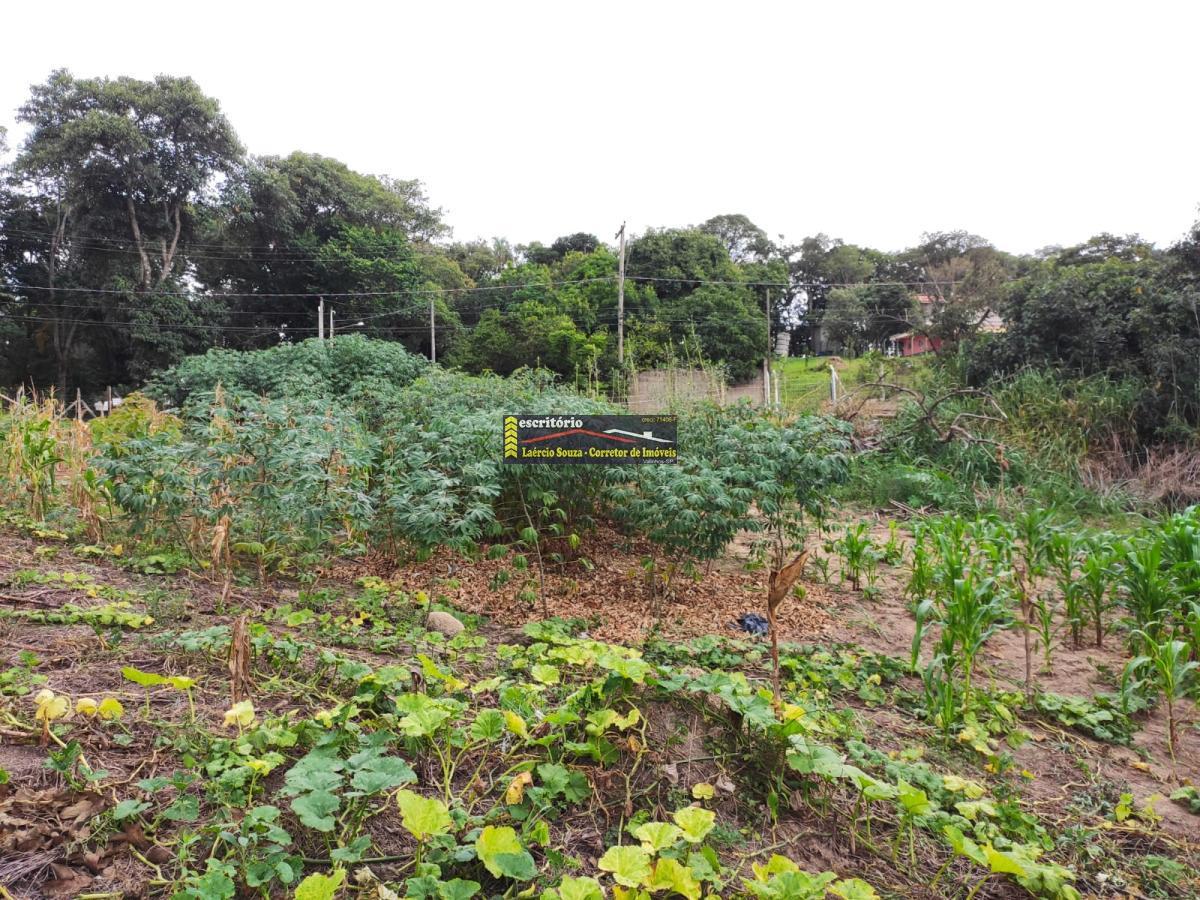 Terreno, 2394 m² - Foto 35