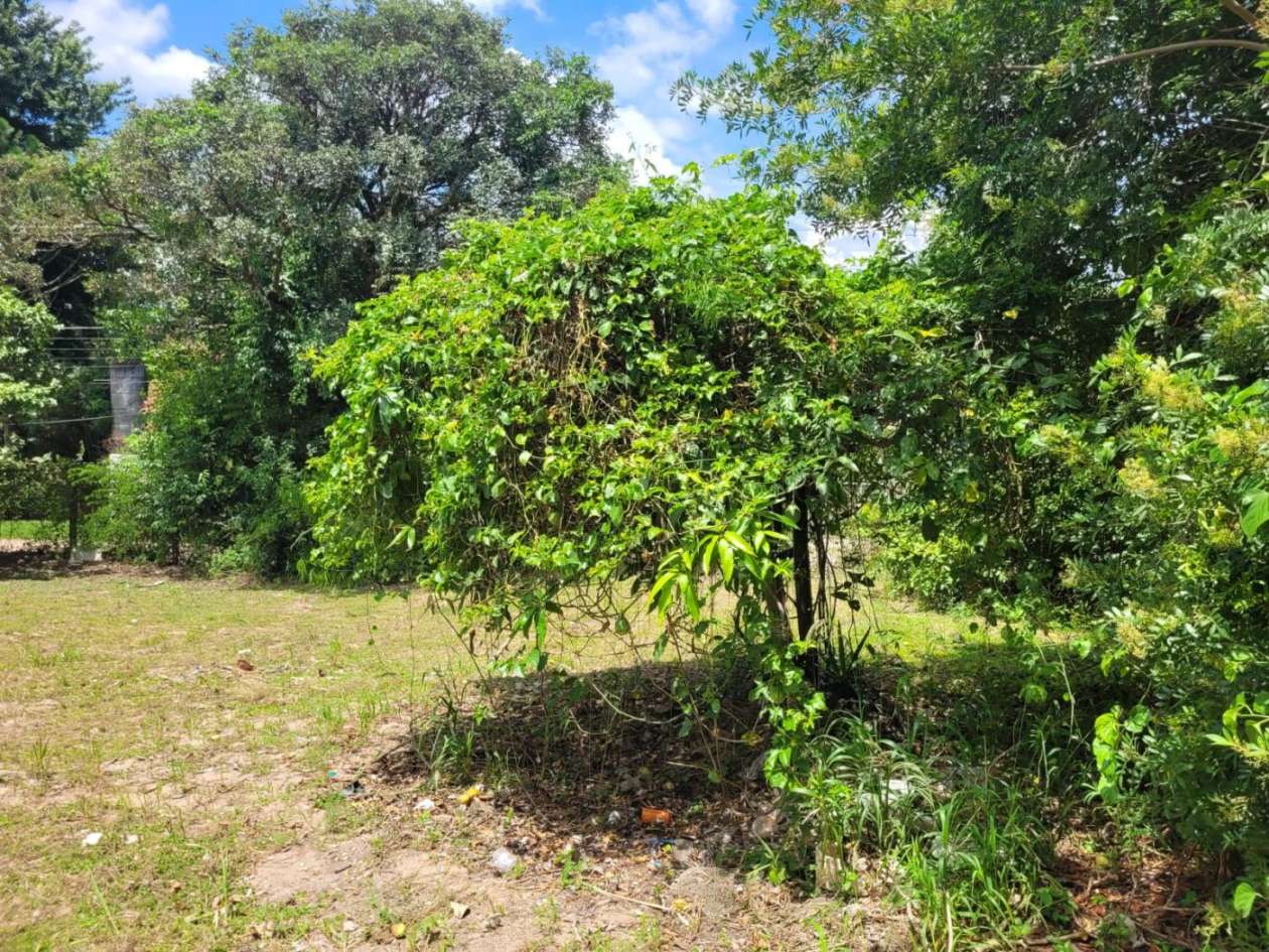 Terreno, 2460 m² - Foto 3