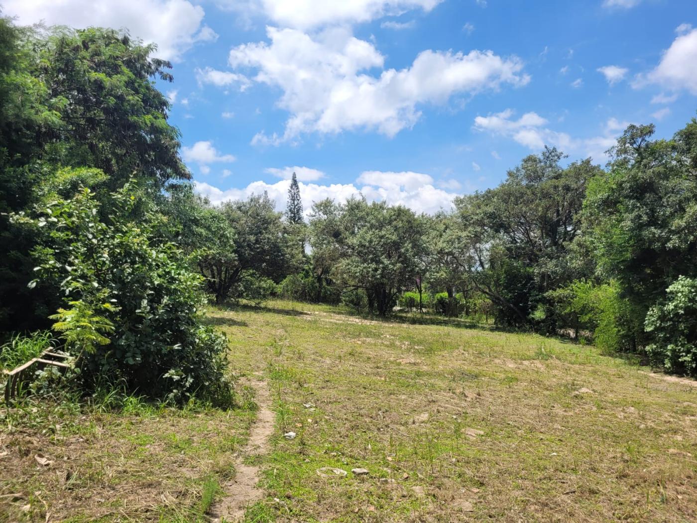 Terreno, 2460 m² - Foto 4