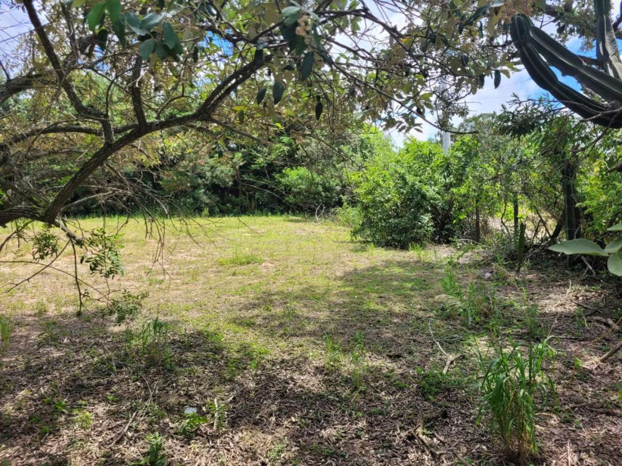 Terreno, 2460 m² - Foto 7