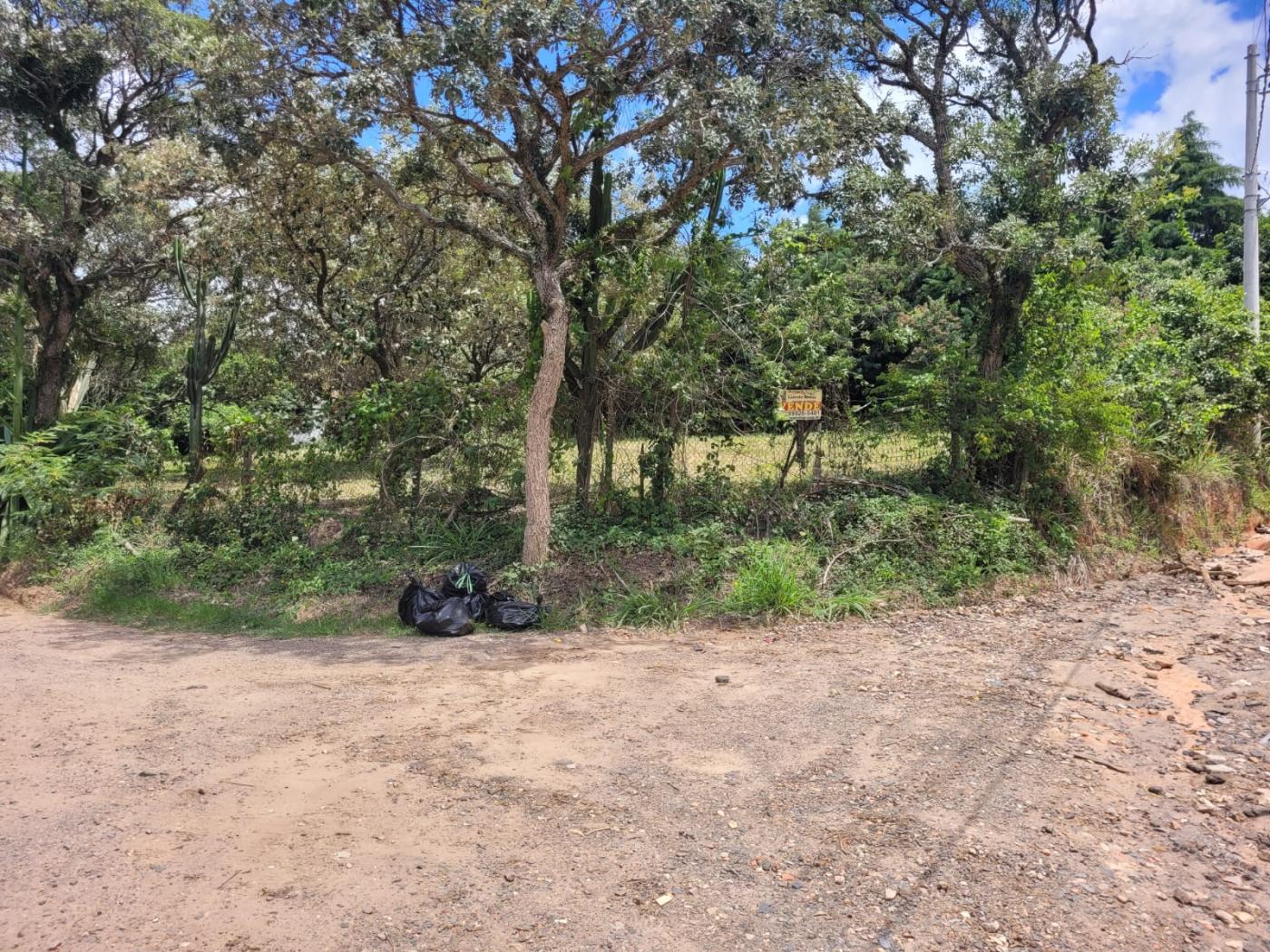 Terreno, 2460 m² - Foto 10