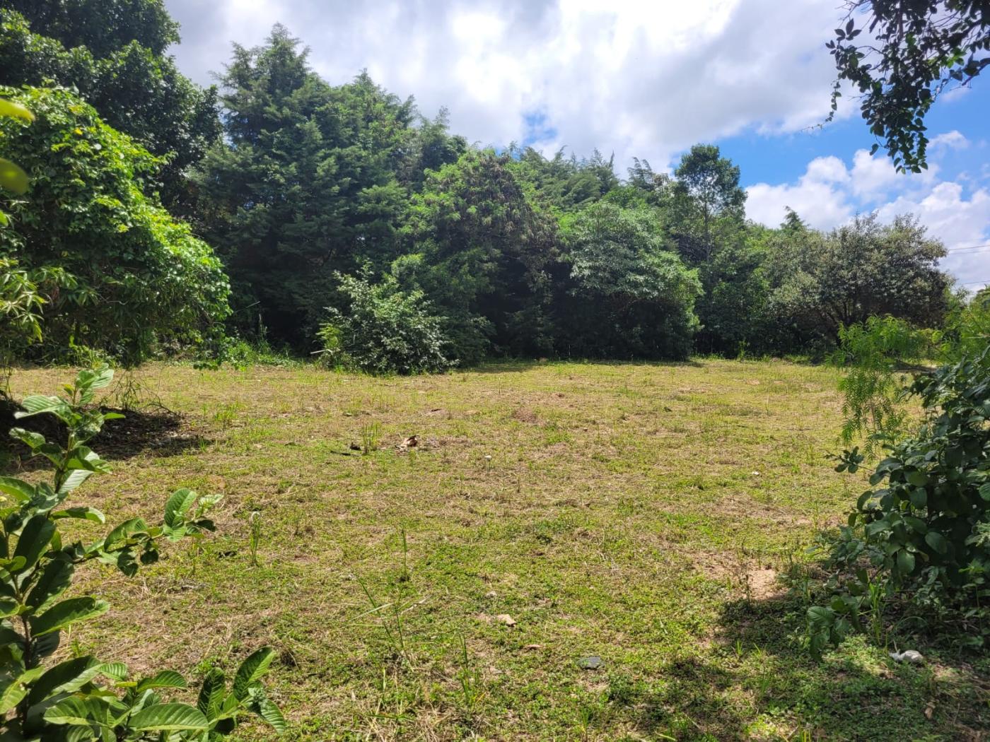 Terreno, 2460 m² - Foto 11