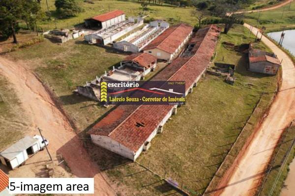 Sítio - Foto 4